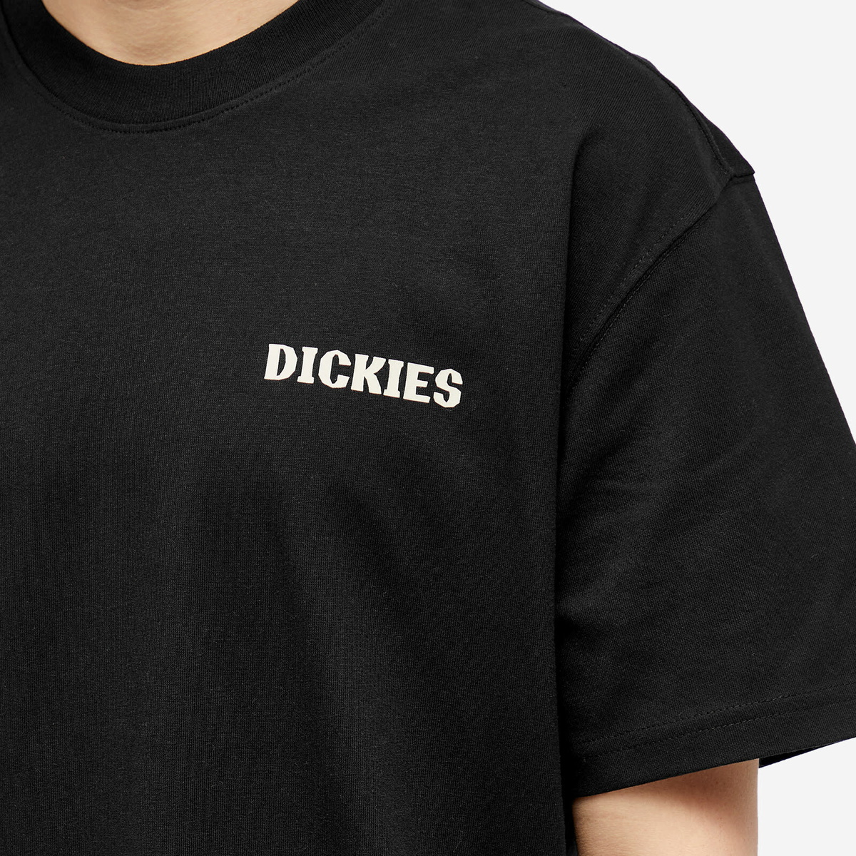 Dickies Men's Hays TShirt in Black Dickies Construct