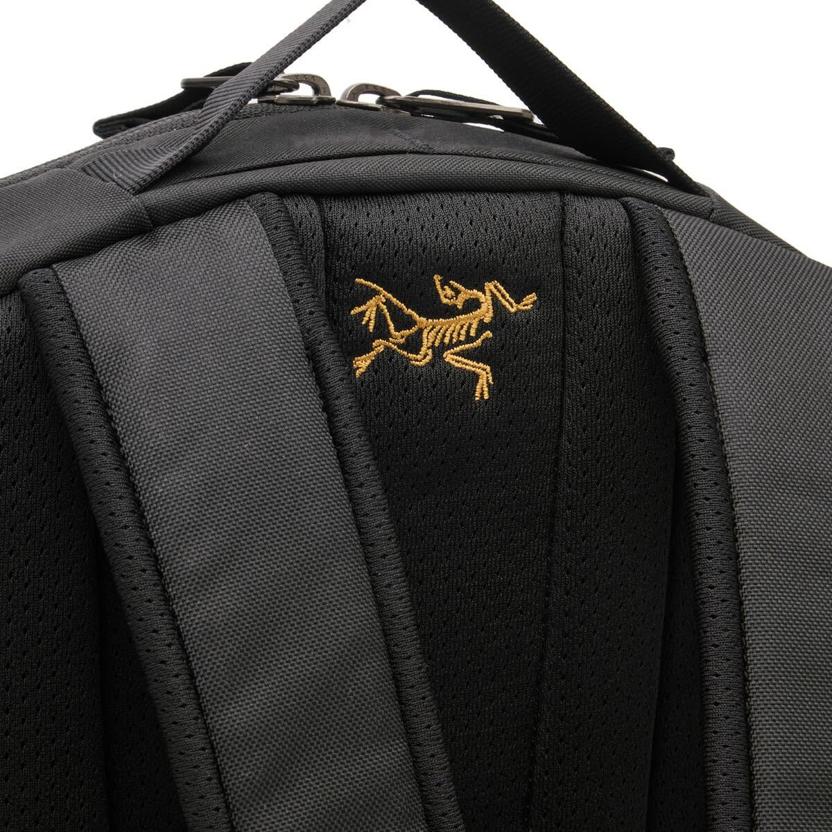 Arc'teryx Men's Mantis 16 Backpack in Black 