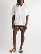 Go Barefoot - Cruizing Surfer Straight-Leg Printed Cotton Shorts - Black