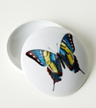 Fornasetti Farfalle porcelain container