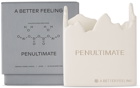 A BETTER FEELING Penultimate Ceramic Candle, 160 g
