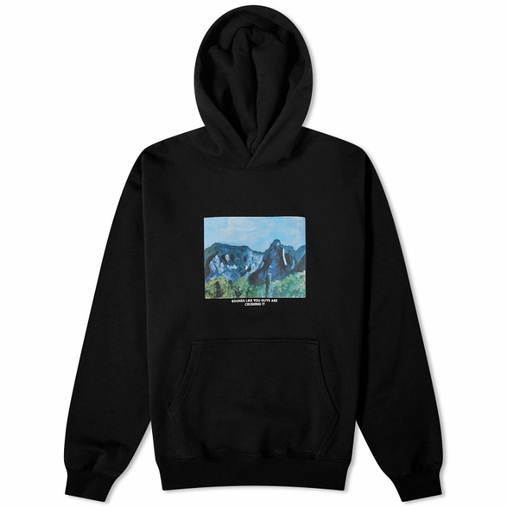 Photo: Polar Skate Co. Men's Sounds Like You Guys Are Crushing It Hoodie in Black