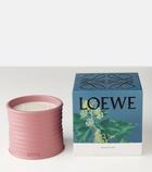 Loewe Home Scents Ivy Medium candle