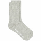 Polar Skate Co. Men's Basic Sock in Heather Grey