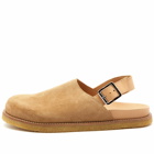 VINNYs Men's VINNY's Strapped Mule in Sand Suede