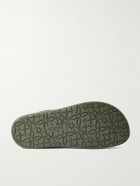LOEWE - Jambo Suede Sneakers - Green