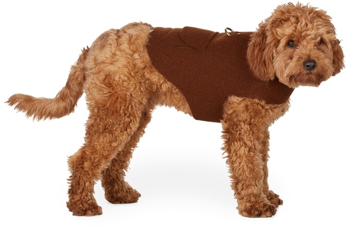 Photo: Fantastical Creatures Club Brown Wrap Up Jacket Harness