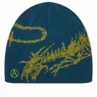 Aries Women's Skeletor Skull Beanie in Petrol 