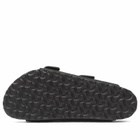 Birkenstock Women's Arizona Big Buckle in Black Nubuck