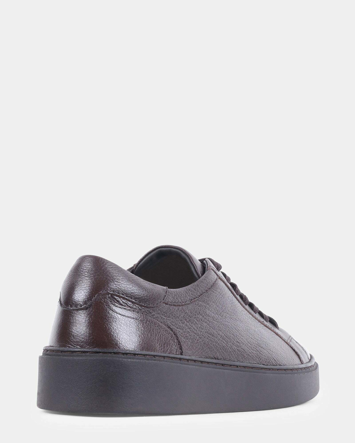 Steve Madden Argo Sneakers in Brown