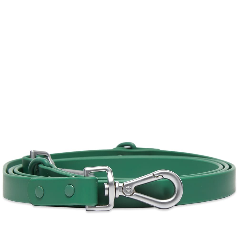 Wild One Dog Leash Wild One