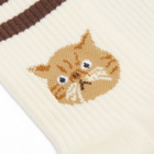 Rostersox Cat Socks in Brown