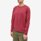 Folk Men's Rivet Sweat in Pomegranate