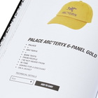 Phaidon Palace Product Descriptions: The Selected Archive in Lev Tanju