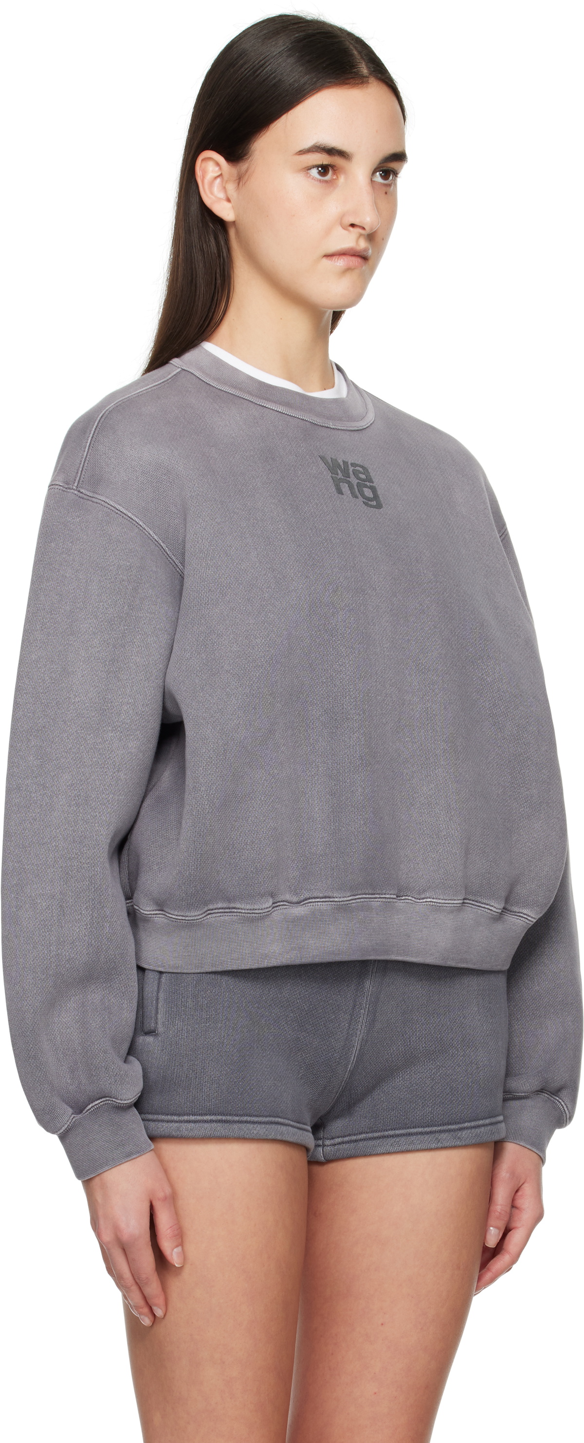 alexanderwang.t Gray Puff Logo Sweatshirt