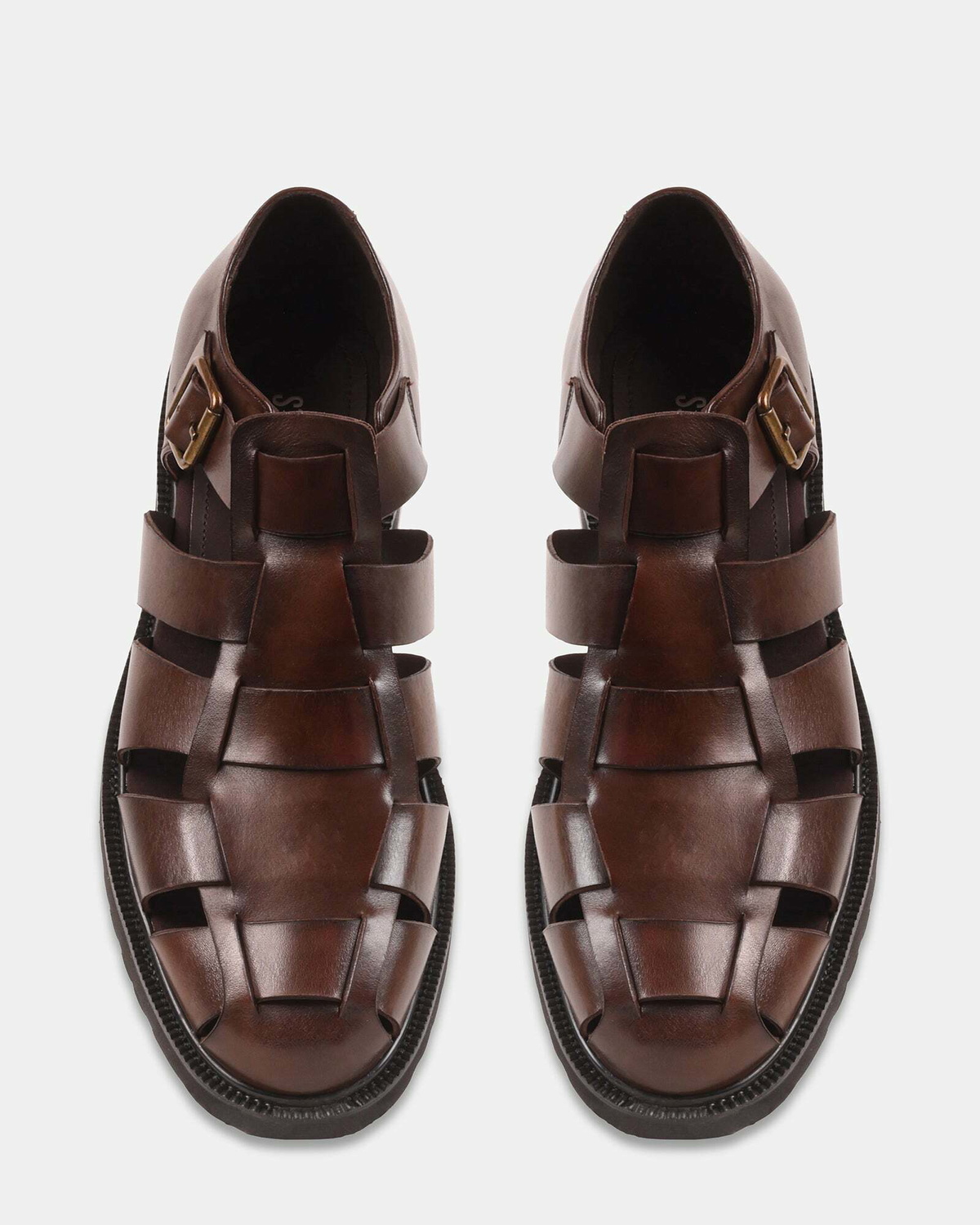Steve Madden Havana Sandals in Brown