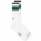 Rostersox Men's Stripe Sock in Purple