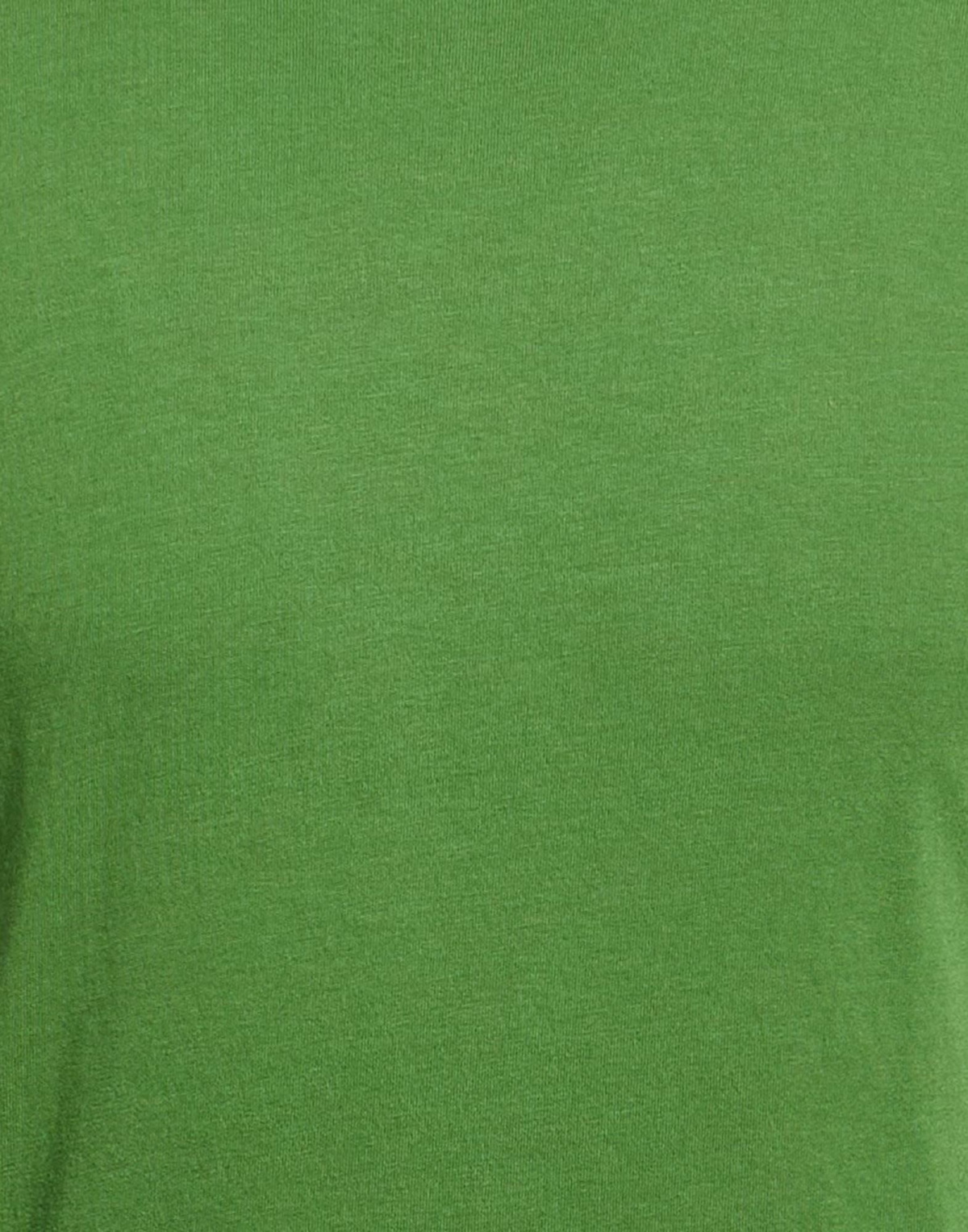 Colmar Mens T-shirt in Green