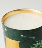 Trudon Fir Grande scented candle