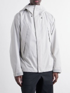 Goldwin - Barite Hooded Panelled Shell Ski Jacket - Neutrals
