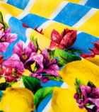 Dolce&Gabbana Casa Taormina cotton terry beach towel