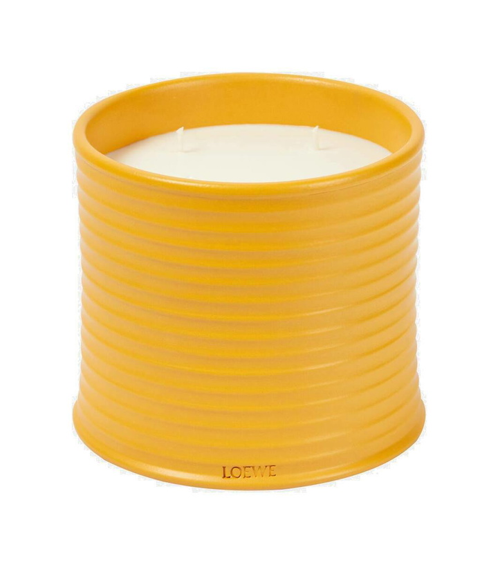 Photo: Loewe Home Scents Wasabi Large scented candle