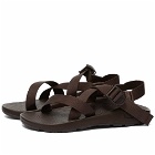 Chaco Men's Z1 Classic Chromatic - END. Exclusive in Java