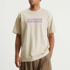 Café Mountain Men's Soundsystem T-Shirt in Vintage Heather And Lupin
