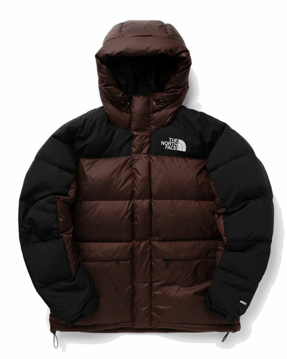 Photo: The North Face Hmlyn Down Parka Black/Brown - Mens - Down & Puffer Jackets