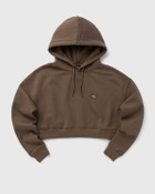 Dickies  Oakport Cropped Hoodie Beige Hoodies