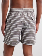 Eleventy - Straight-Leg Striped Swim Shorts - Brown