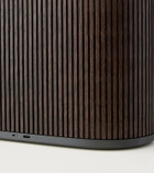 Bang & Olufsen Beosound A5 portable speaker