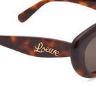 Loewe Eyewear Women's Curvy Cat Eye Sunglasses in Havana 