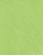 Priscavera Womens Mini skirt Lime in Green