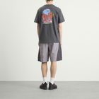 The North Face Men's 1966 Flora Relaxed T-Shirt in Anthracite Grey