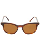 Ray Ban Men's RB2298 Sunglasses in Tortoise/Brown