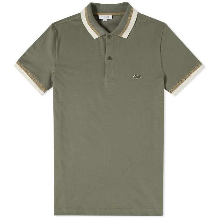 Photo: Lacoste Tipped Polo