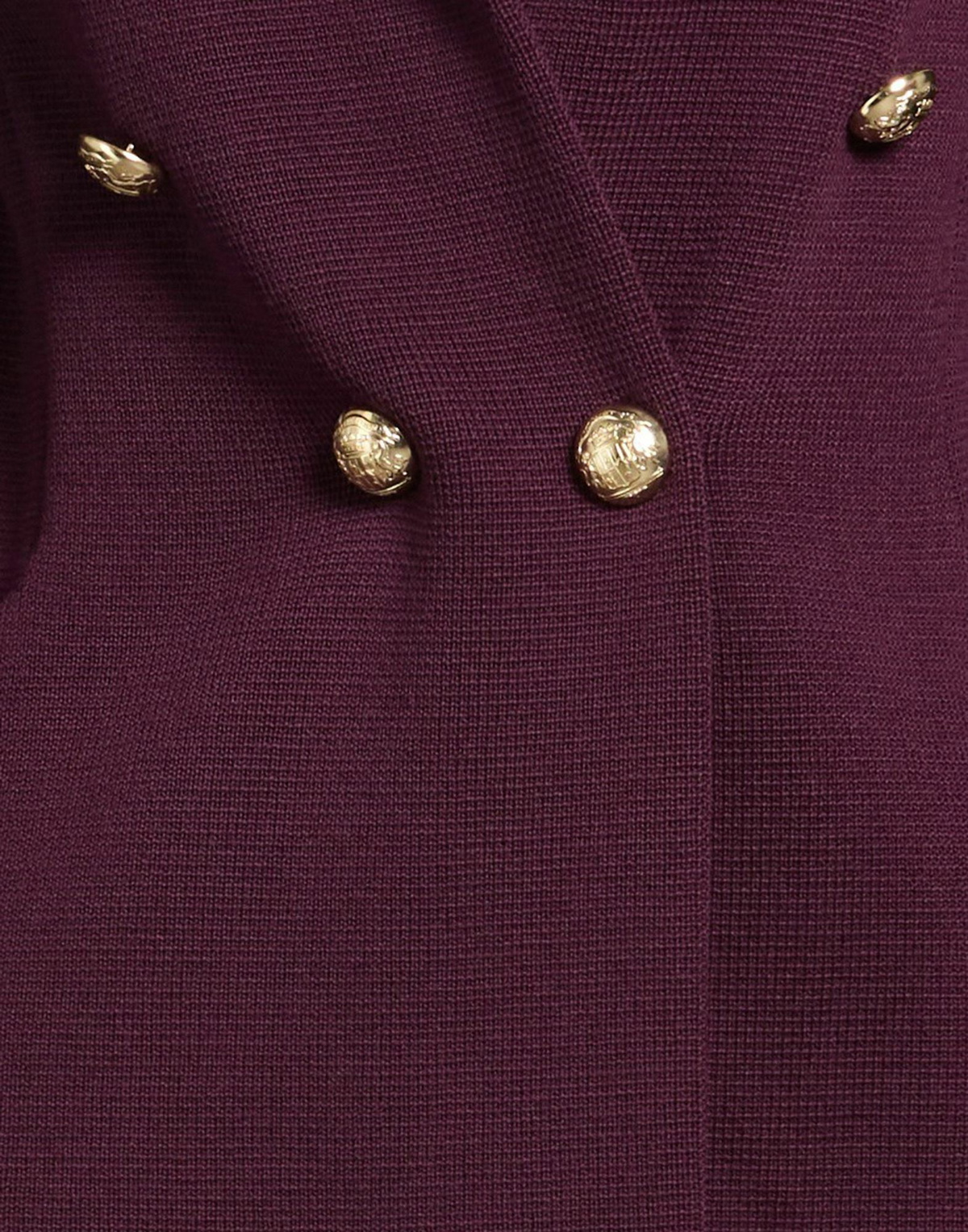 Charlott Womens Blazer Plum