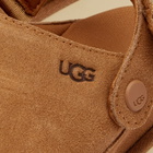 UGG Women's Goldenstar Clog in Chestnut