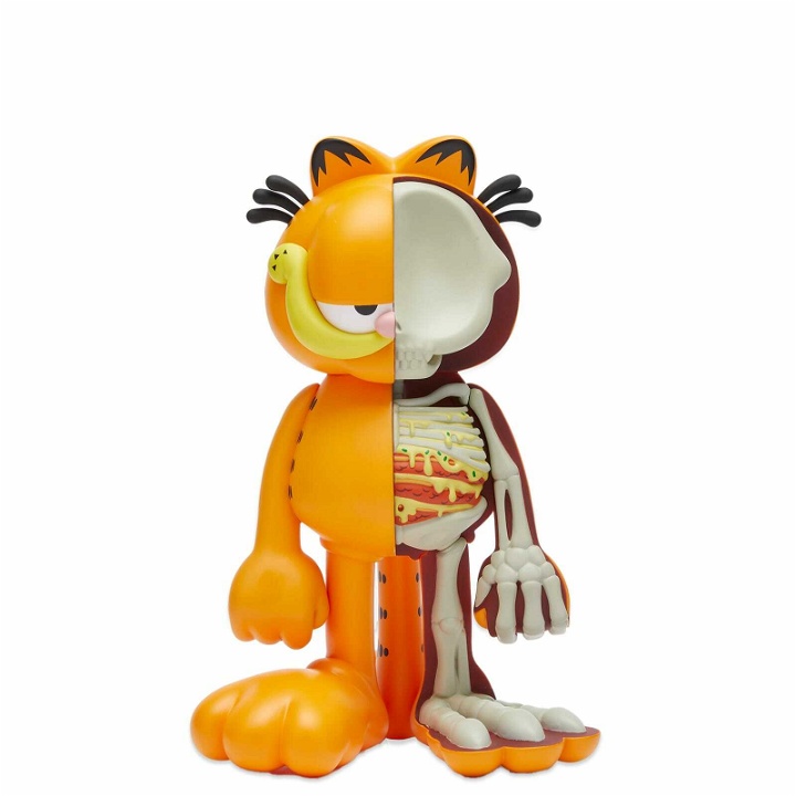 Photo: Mighty Jaxx XXRAY Plus: Garfield in Multi 