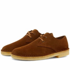 Clarks Originals Men's Desert Khan in Cola Suede