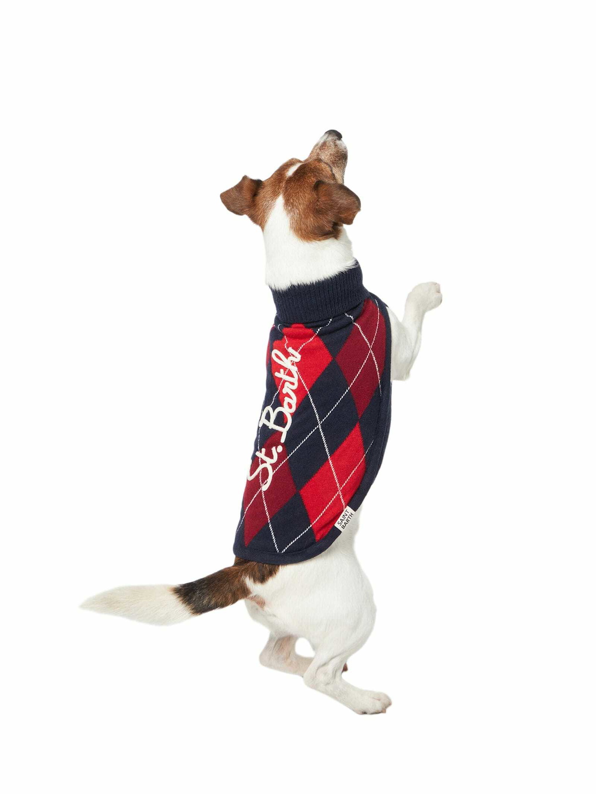 MC2 Saint Barth Dog Sweater With Argyle Print