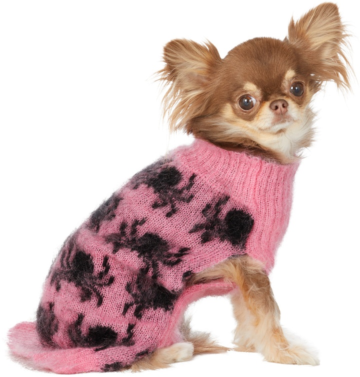 Photo: Ashley Williams Pink & Black Intarsia Spiders Dog Sweater