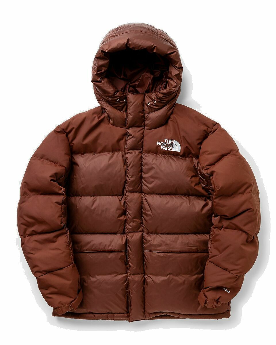 Photo: The North Face Hmlyn Down Parka Brown - Mens - Down & Puffer Jackets