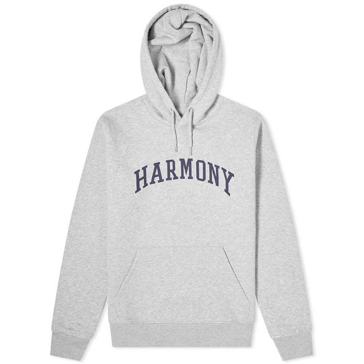 Photo: Harmony Curve Logo Popover Hoody