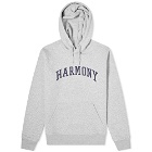 Harmony Curve Logo Popover Hoody
