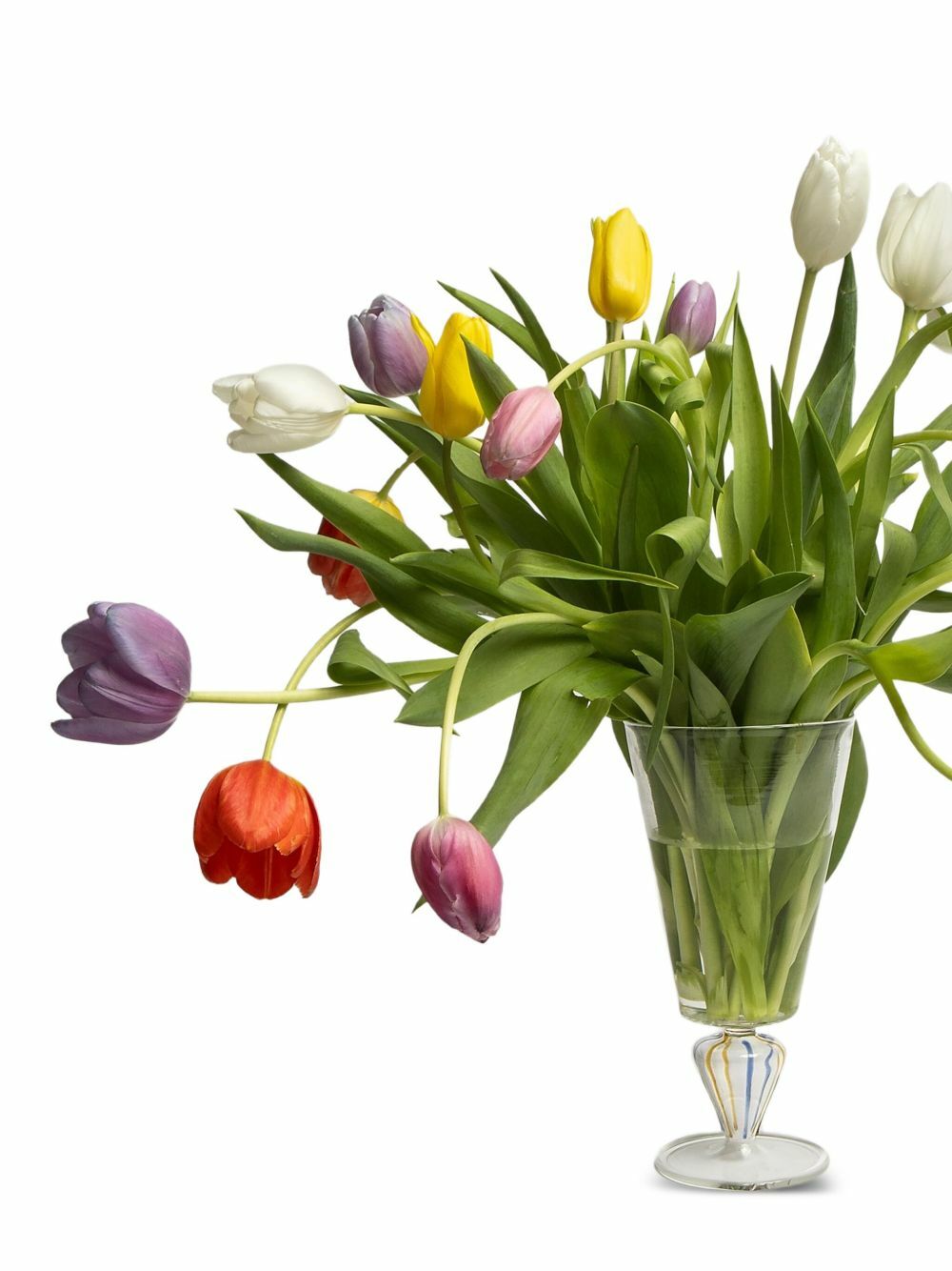 Gohar World Coloured-Stem Vase