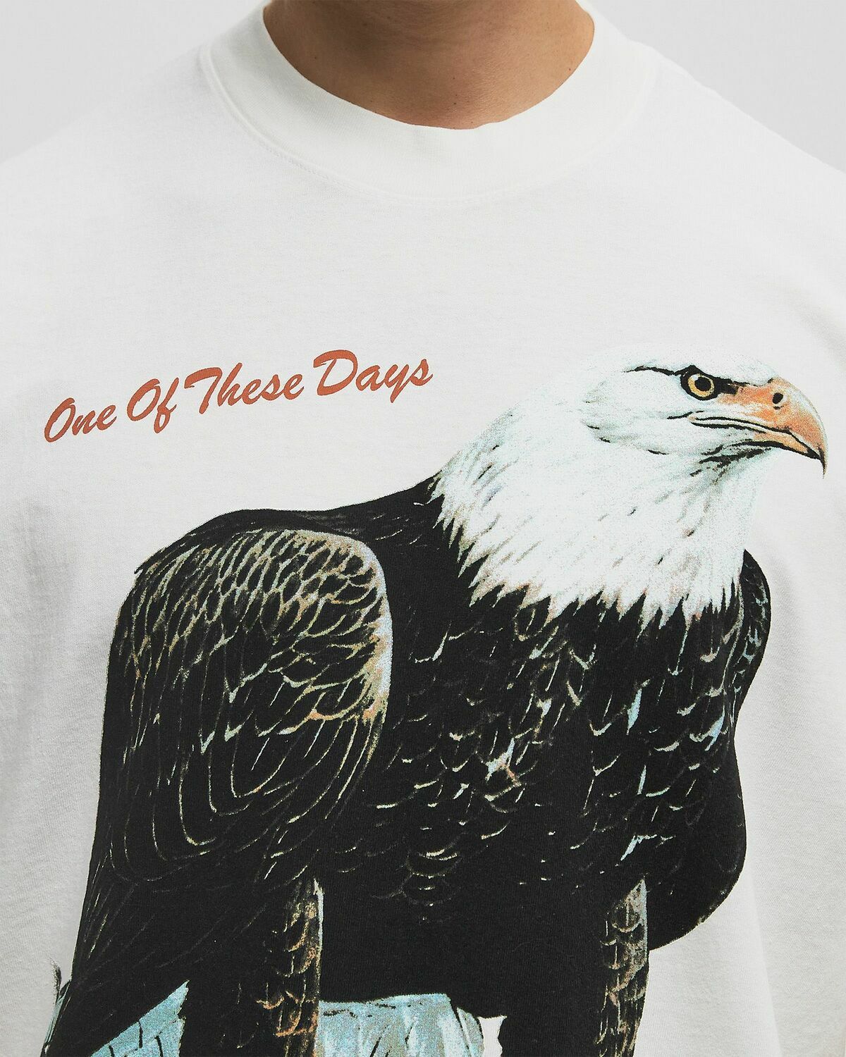 One of these Days BIRD OF PREY TEE White Mens Shortsleefe