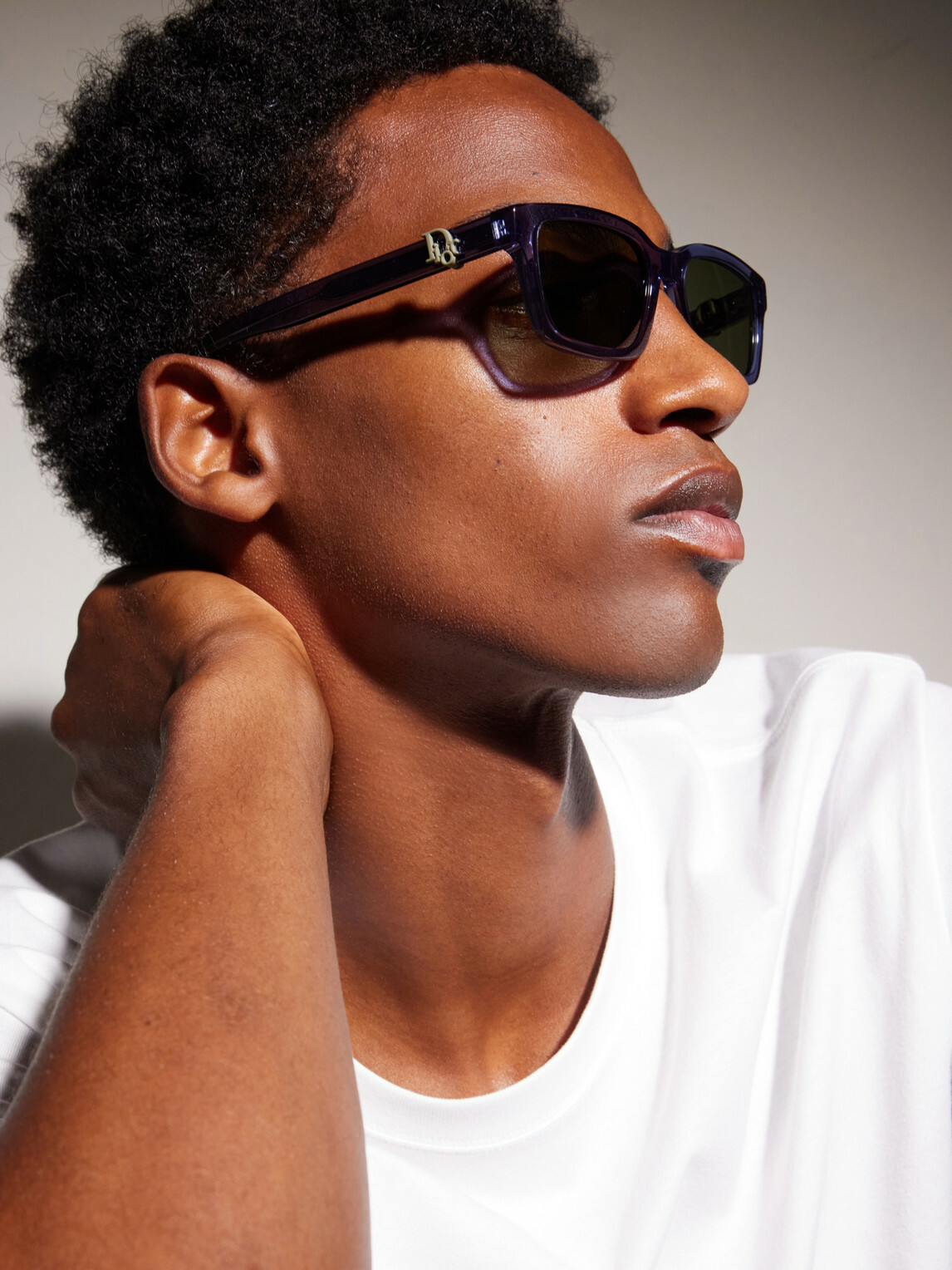 Dior Eyewear - Dior Oblique S5l D-Frame Acetate Sunglasses - Blue