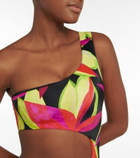 Louisa Ballou - Half Moon cutout printed swimsuit